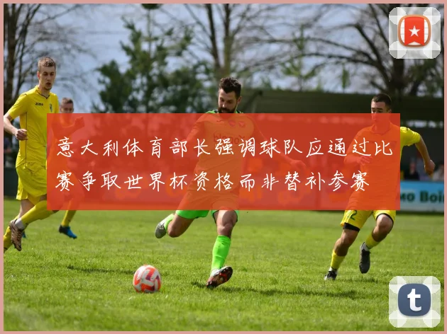 意大利体育部长强调球队应通过比赛争取世界杯资格而非替补参赛