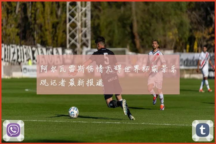 阿尔瓦雷斯伤情无碍世界杯前景乐观记者最新报道